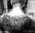 Jay Lanni tattoo