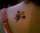 jake c. tattoo