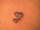 INKEDinBLOOD tattoo