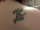 tamara reyna tattoo