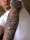 Ink2thebone tattoo