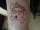 MackDhaddyNasia tattoo
