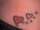 Meghan tattoo