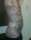 Jokerman1235 tattoo
