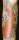Jeff tattoo