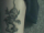 nova tattoo