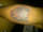 wayne tattoo