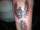 tbone5587 tattoo