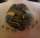 brad tattoo