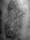 santa  clause tattoo