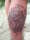 Rotten187 tattoo