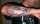 nick weddell tattoo