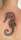 Hildy van Hefeweizen tattoo