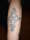 mattyc tattoo