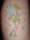 Dotti tattoo