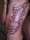 mark miller tattoo