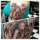 Hildy van Hefeweizen tattoo