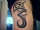 JAVIM121 tattoo