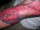 paintedprincess tattoo