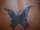 Razzatatts tattoo