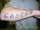 Married to My Dream tattoo