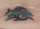 CRYSTAL tattoo