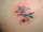 LYNN tattoo