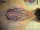 mistershithead tattoo