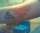 chris tattoo