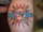 LEX tattoo