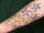 faye tattoo