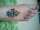 momof4 tattoo