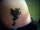 kaytrin tattoo