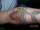 gixxer6 tattoo