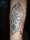 Jabbatron tattoo