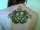 Micin tattoo