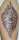 TipTopTattoosRox tattoo