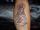 leperchaun tattoo