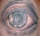 curtis tattoo