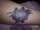 DolphynQwene tattoo