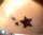 Rose tattoo
