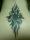 Debbie tattoo