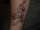kaitlin tattoo
