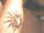 Behr tattoo