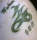Jryan tattoo
