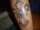 sweetsix tattoo