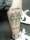 MonCalma tattoo