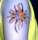 BellaMichelle tattoo