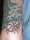 InkJudge tattoo