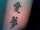 CrimeDog tattoo
